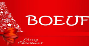BOEUF