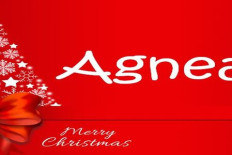 AGNEAU