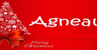 AGNEAU
