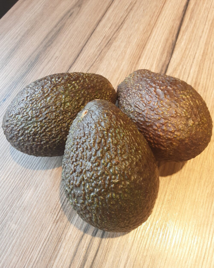 Avocat