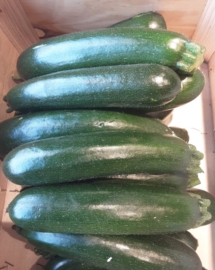 Courgettes