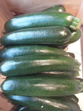 Courgettes