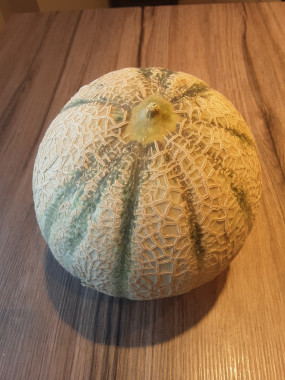 Melon
