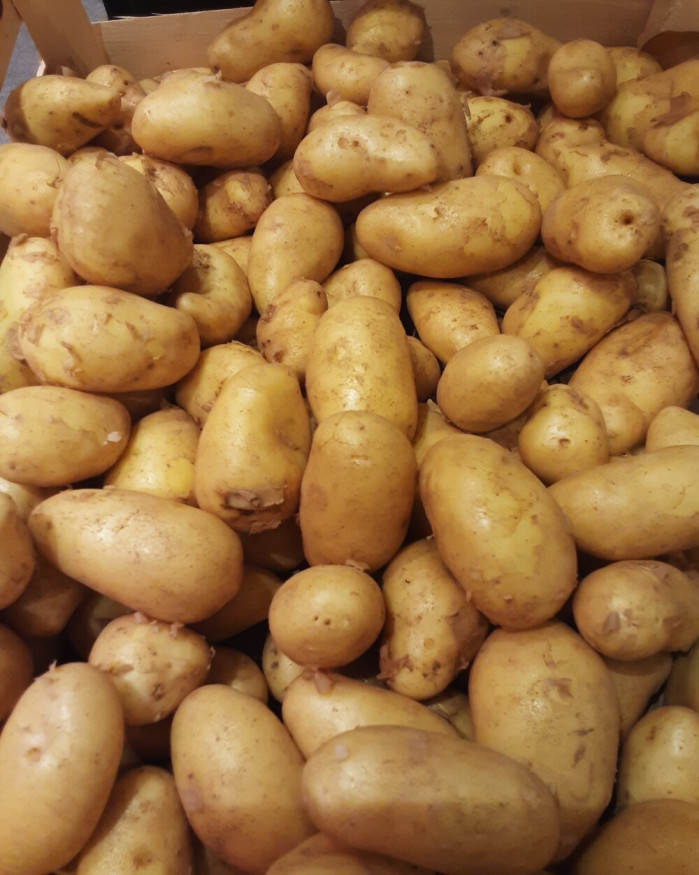 Pommes de terres nouvelles AMANDINE