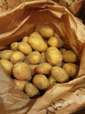 Pommes de terres GRENAILLE nouvelles