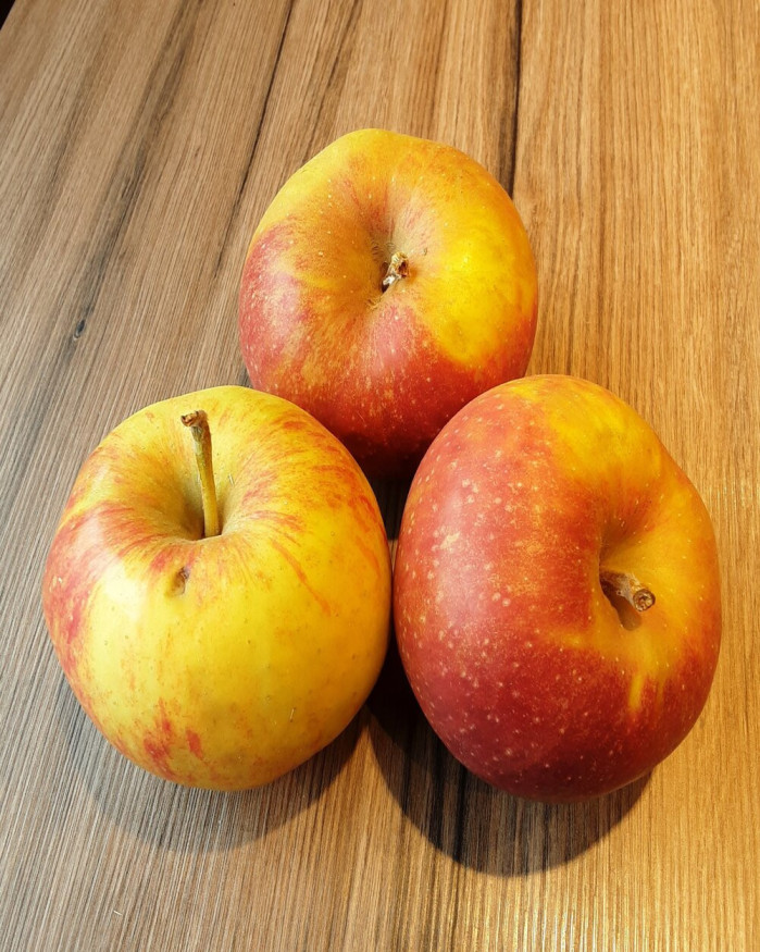 Pommes à cuire boskoop