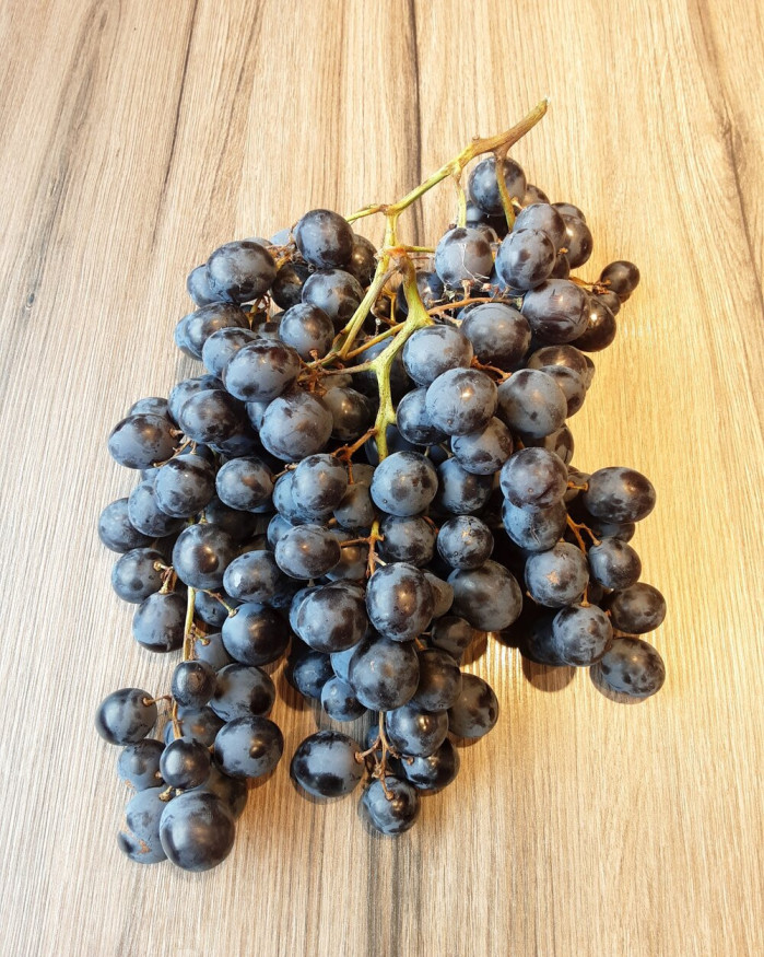 Raisin Muscat