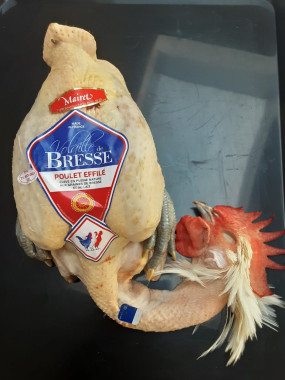 Poulet AOC de Bresse Roulé Torchon