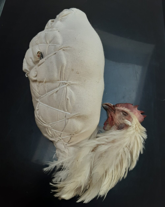 Poularde AOC de Bresse Roulée Torchon