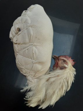 Poularde AOC de Bresse Roulée Torchon