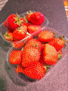 Fraises de Landrethun 500 GRS