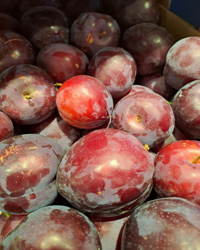 PRUNE ROUGE