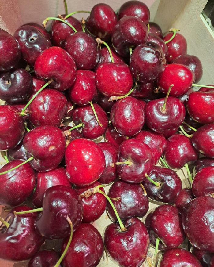 Cerises