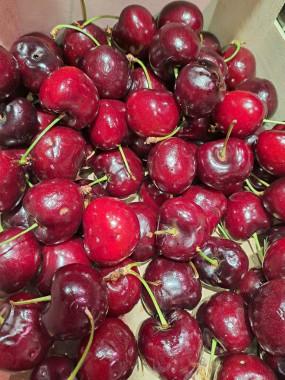 Cerises