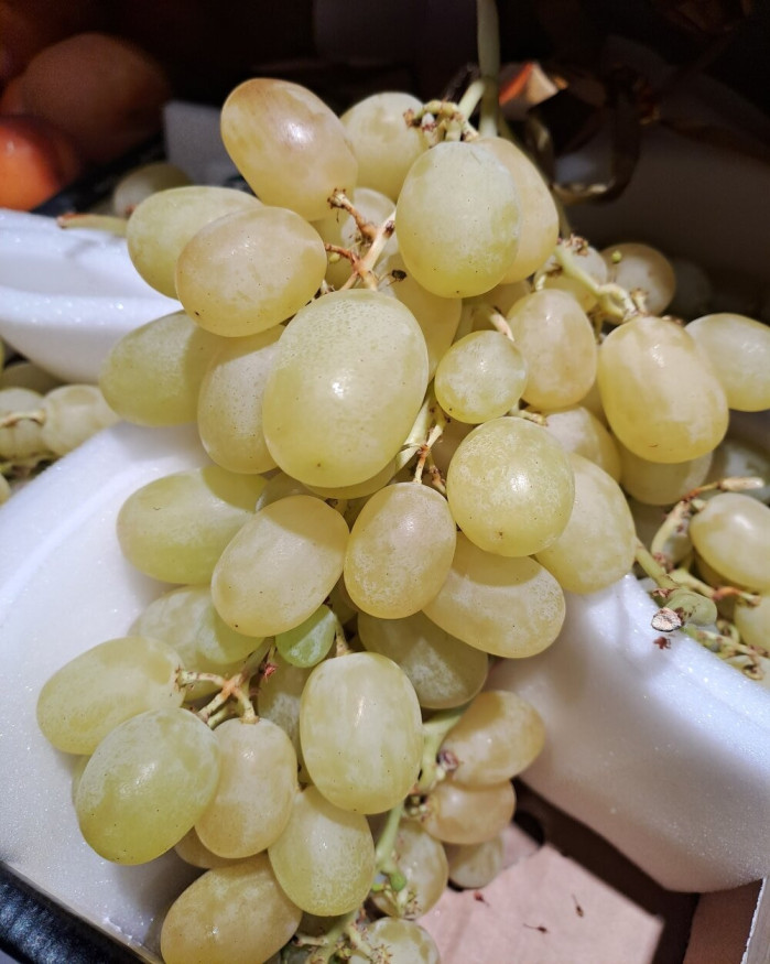 Raisin blanc VICTORIA