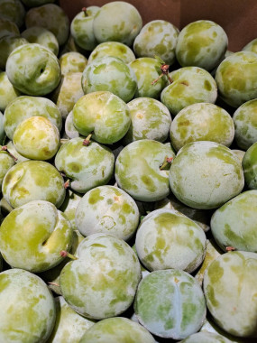 PRUNE REINE CLAUDE