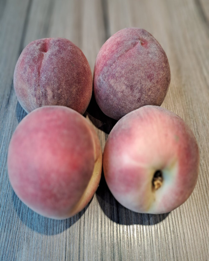 Pêche blanches
