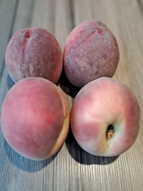 Pêche blanches